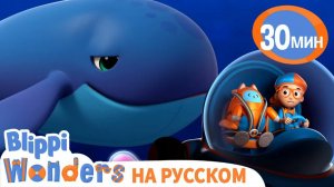 На глубине Океана _ Обучающие мультики для детей _ Blippi Russian