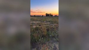 Закатное Поле Сияет Для Детей