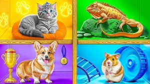 Мы построили дом для домашних животных #Смешные челленджи от TeenDO