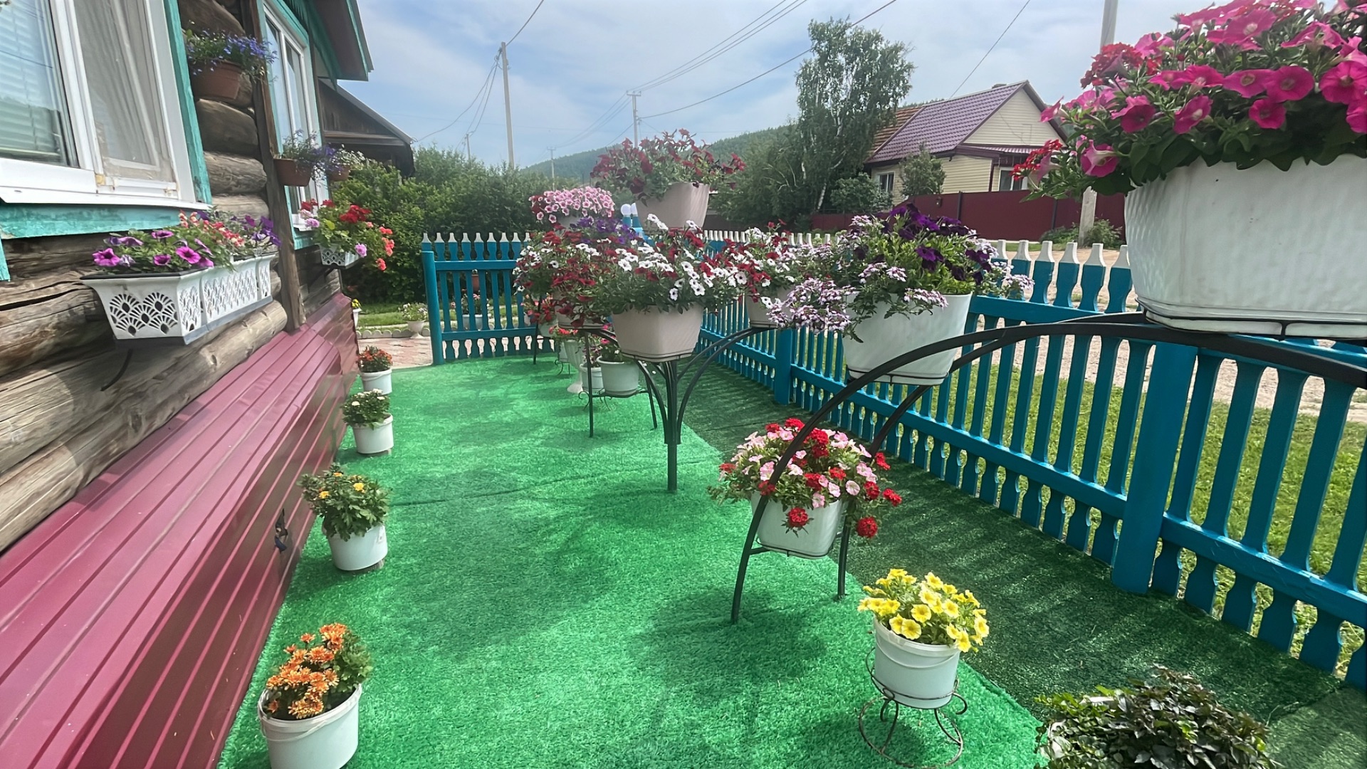 Обзоры цветов на усадьбе