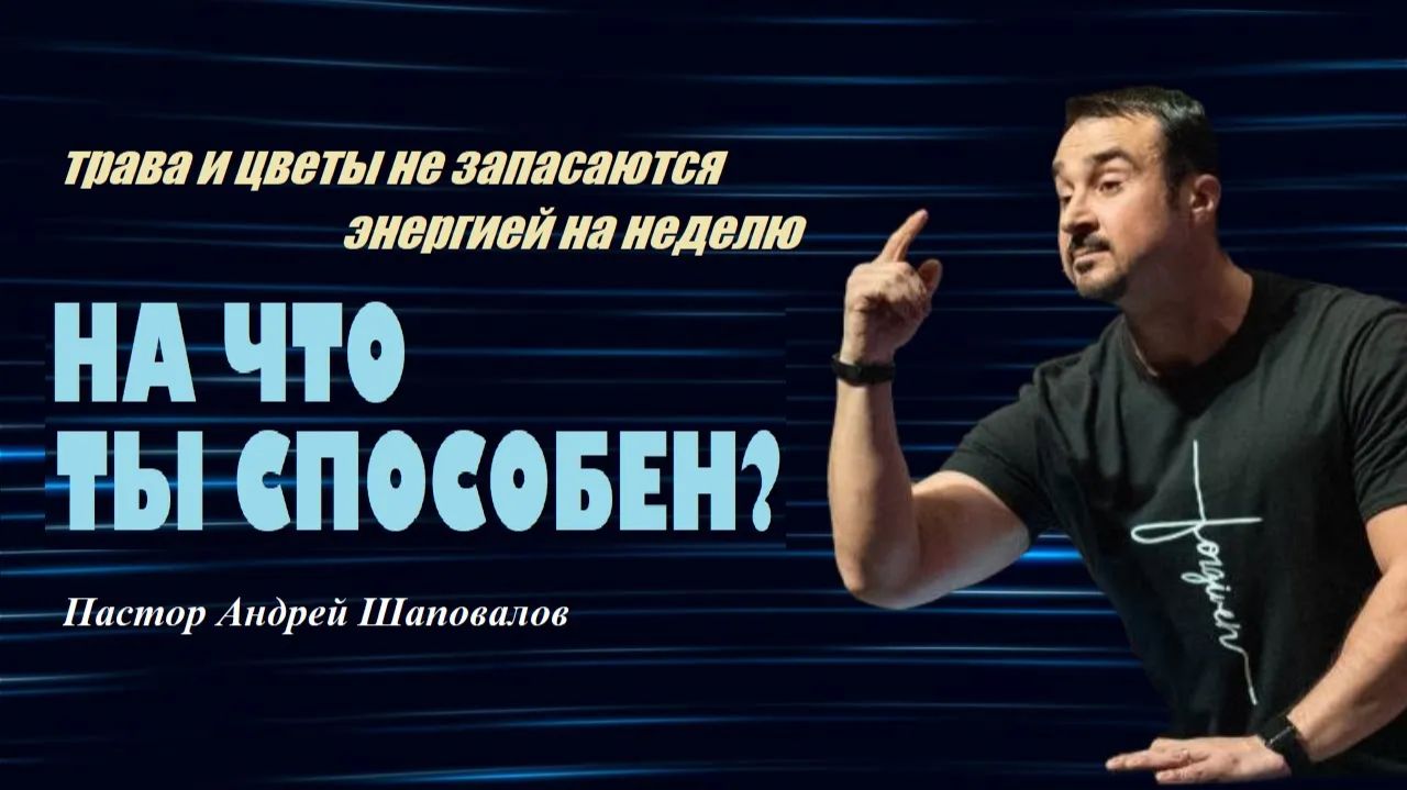 Трава и цветы не запасаются энергией на неделю. На что ты способен? Пастор Андрей Шаповалов