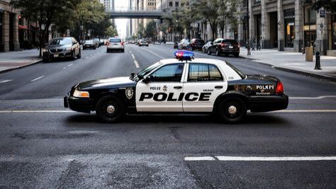 Drive Zone - Police Paranoia Car - Pursuit .
