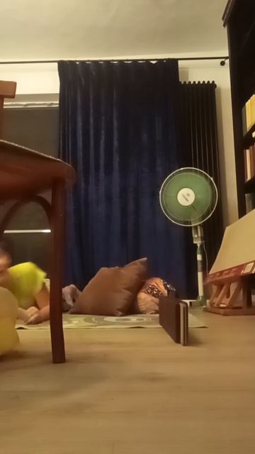 я схажу в АМУ