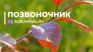 Исцеление позвоночника. НОВЫЙ Саблиминал. Скрытые Аффирмации.