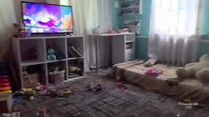 Обычный день девочек припевочек