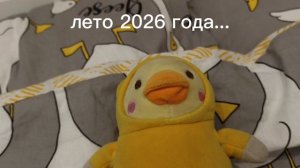 лето 2026 года...🪿🪿