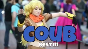 COUB №387