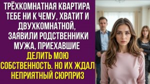 Трёхкомнатная квартира тебе ни к чему, хватит и двухкомнатной, – заявили родственники мужа