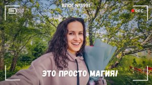 Магия вне Хогвартса | Дедушка совсем состарился... -  ВЛОГ №3991 - 03.07.26