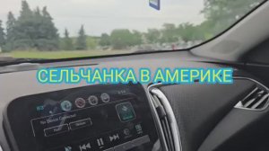 МАГАЗИН АЛДИ США СЕЛЬЧАНКА В АМЕРИКЕ