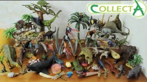 Моя коллекция динозавров Collecta, Mojo, Derri animals| My collection of dinosaurs