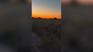 Закатное Поле С Блёстками Топ