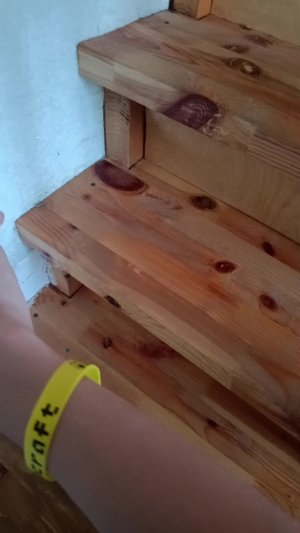 стрим рунтур дома