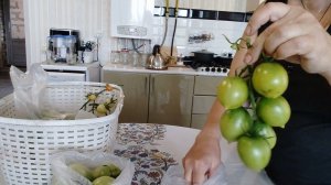 Собрала помидоры, поделила по сортам.