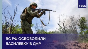 ВС РФ освободили Василевку в ДНР