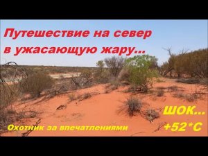 Путешествуем по Австралии (Часть1) Дорога, дорога,ты знаешь так много или козлы на обочине.