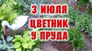 3 июля. Переделала цветник у пруда