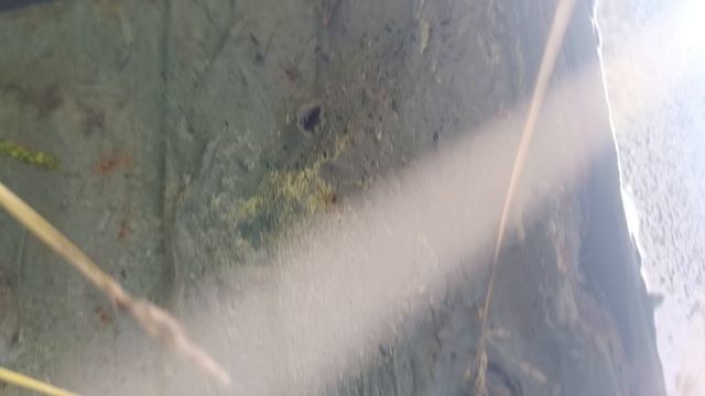1000224410.mp4 смотреть онлайн