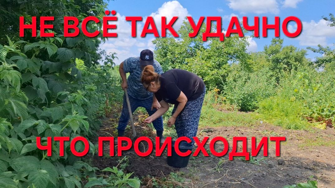 Усадьба на Кубани