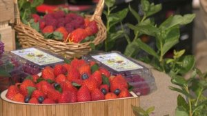 Продукция из Воронежской области поставляется в 26 стран мира