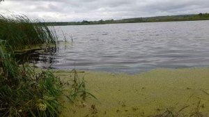 ОТЛИЧНЫЙ ВЫХОДНОЙ НА ВОДОЕМЕ С УДОЧКОЙ