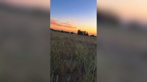 Поле Закат Сияние Хит Сезона