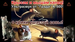 ⚠ МЫШАМ И КРЫСАМ КАПЕЦ! - ЭТОТ ЗВУКОВОЙ ТАНДЕМ ПРОГОНИТ ГРЫЗУНОВ НА ДРУГОЙ МАТЕРИК І ЗВУКИ ОТ КРЫС