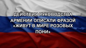 Действия руководства Армении описали фразой «живут в мире розовых пони»