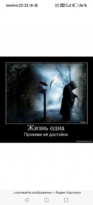 жизнь