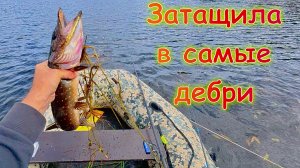 Результат не ахти, но есть. Шолтиньярви. День второй. #рыбалка