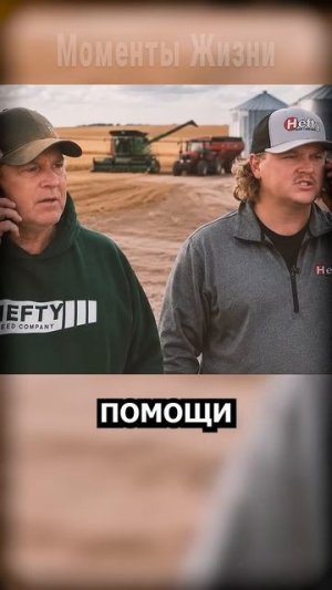 Вдова проснулась от шума техники. За окном стояли десятки незнакомцев.