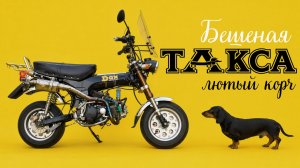Бешеный мопед из Honda DAX