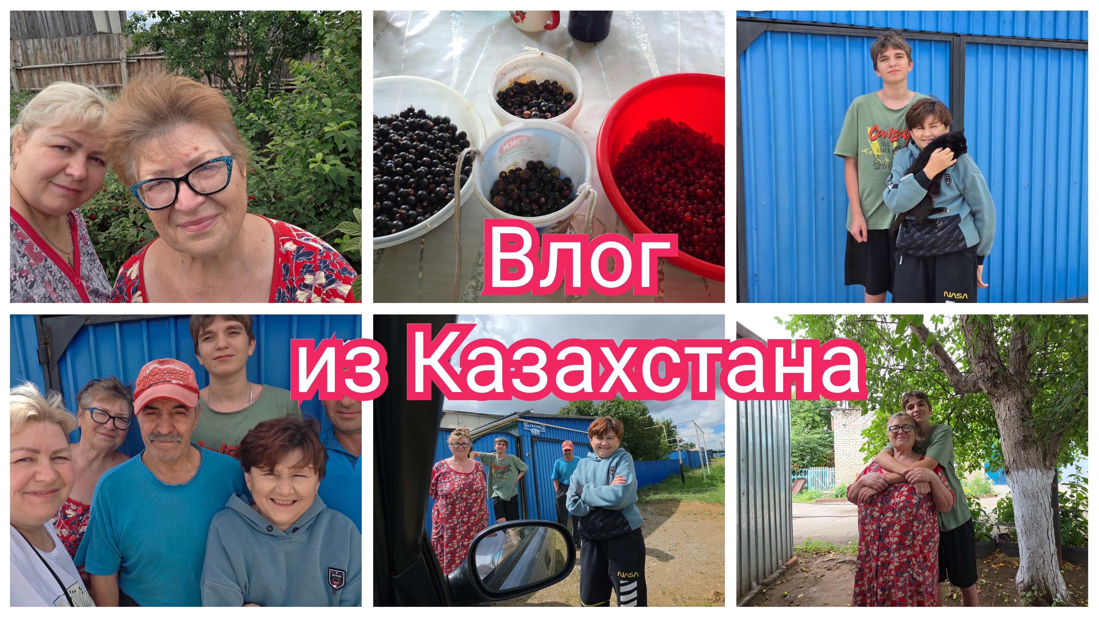 Собираем ЯГОДУ. Подарок для мужа от ПАПЫ. Дорога ДОМОЙ смотреть онлайн