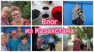 Собираем ЯГОДУ. Подарок для мужа от ПАПЫ. Дорога ДОМОЙ