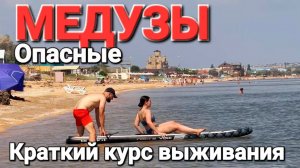 Опасные медузы #Голубицкая Что делать если ужалит? Обзор пляжной жизни на сапе