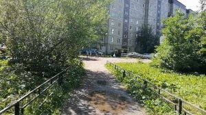 Буйное цветение трав