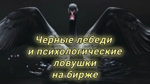 Биржевые  чёрные лебеди, мифы и реальность!