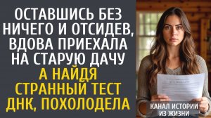 Истории из жизни Оставшись без ничего и отсидев, вдова приехала на старую дачу… А найдя тест ДНК…
