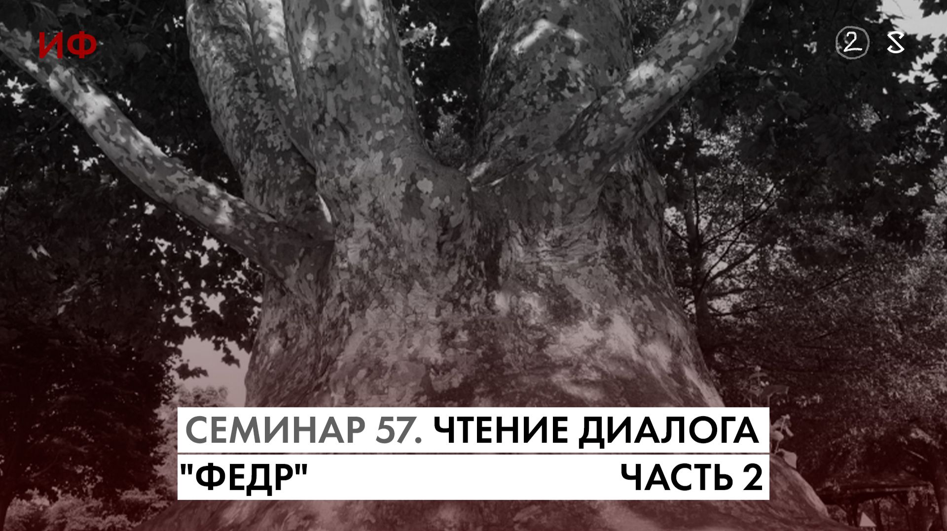 57. Воспроизведение начала чтения диалога Платона "Федр". История Философии. Часть 2