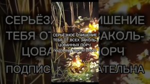НАКАНУНЕ ИВАНА КУПАЛА ТВОЯ ЧИСТКА