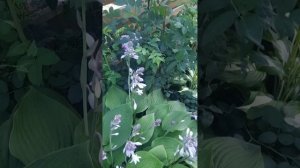 Коптим рыбу в самодельной коптильне!😍