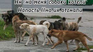 Не кого не хотела обидит,(я уже задалбалась делать анимку)