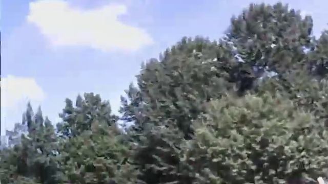 应用！配件。Применение! Арматура. Application! Armature. смотреть онлайн