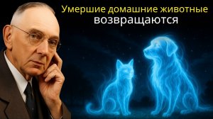 Действительно ли умершие домашние животные возвращаются? Эдгар Кейси раскрывает правду.