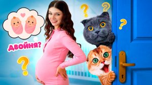 Я БЕРЕМЕННА! Будет ДВОЙНЯ или ТРОЙНЯ?! КОТИКИ РАСКРЫЛИ НОВЫЙ СЕКРЕТ