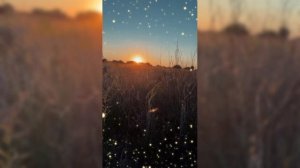 Закатное сияние