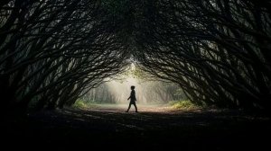 7 ТЁМНЫХ УРОКОВ КАК ПРЕВРАТИТЬ ИНТЕЛЛЕКТ ВО ВЛИЯНИЕ МАКИАВЕЛЛИ