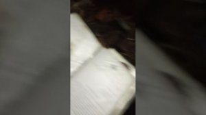 песня  про  журавлей  в  образе   людей   для  русского  народа  и для  лдпр партии