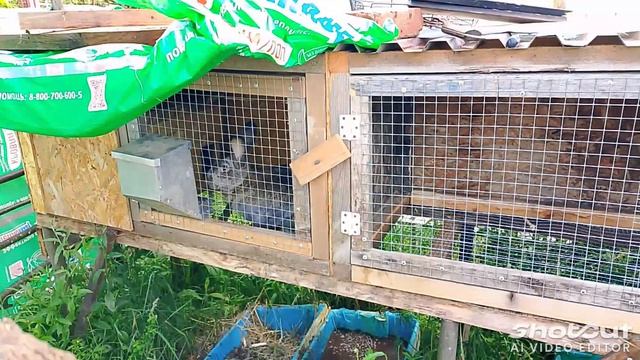 Настоящий дачный отдых!Сын сделал нам подарок!