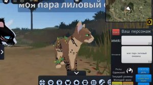 играем во вкуе